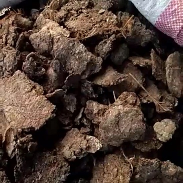 鸡粪