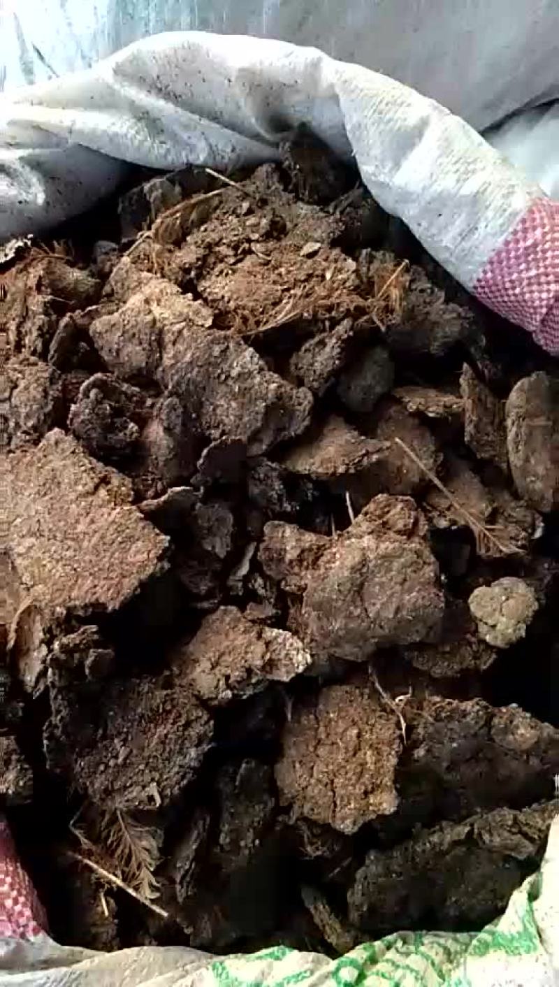 鸡粪