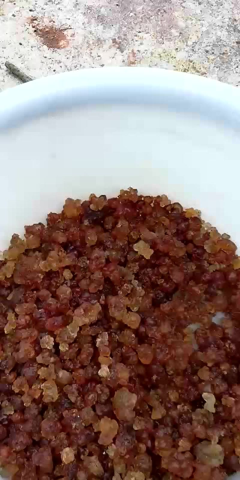 黄桃胶