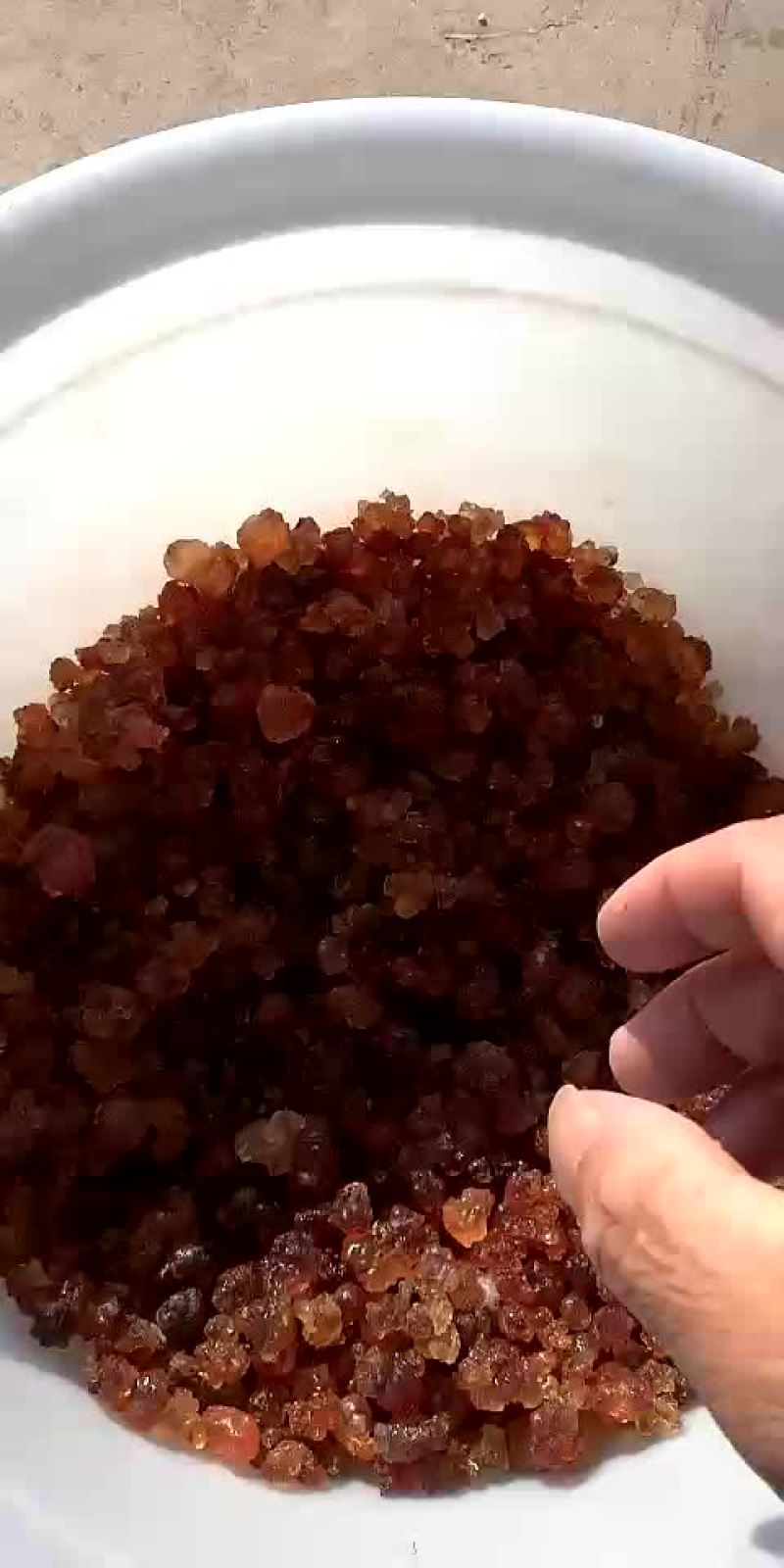 黄桃胶