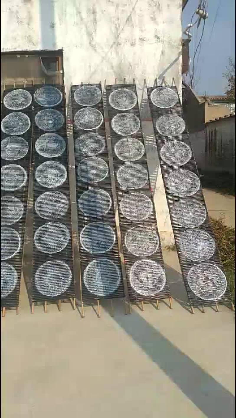 双11价钱便宜，