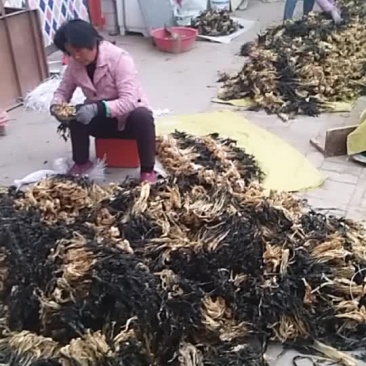 优质白菜干产地直销！