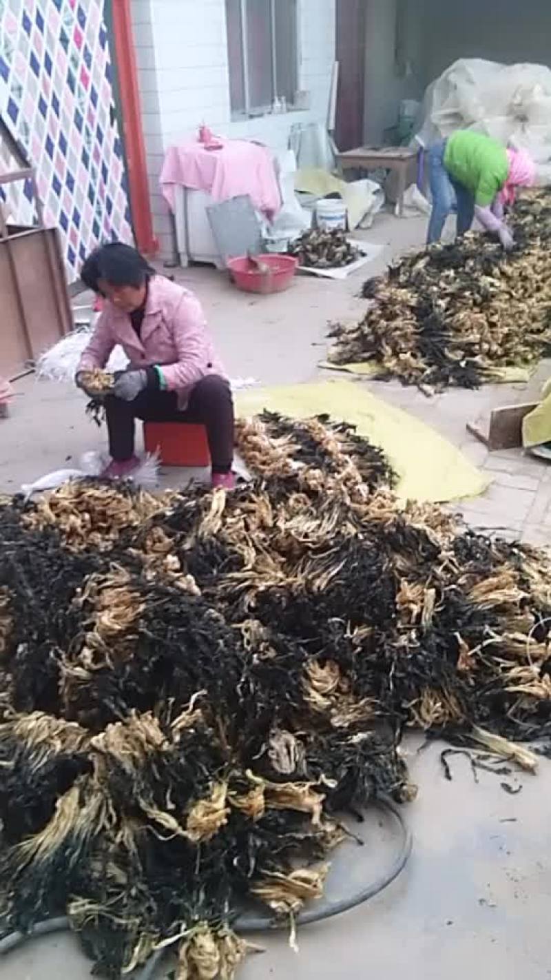 优质白菜干产地直销！