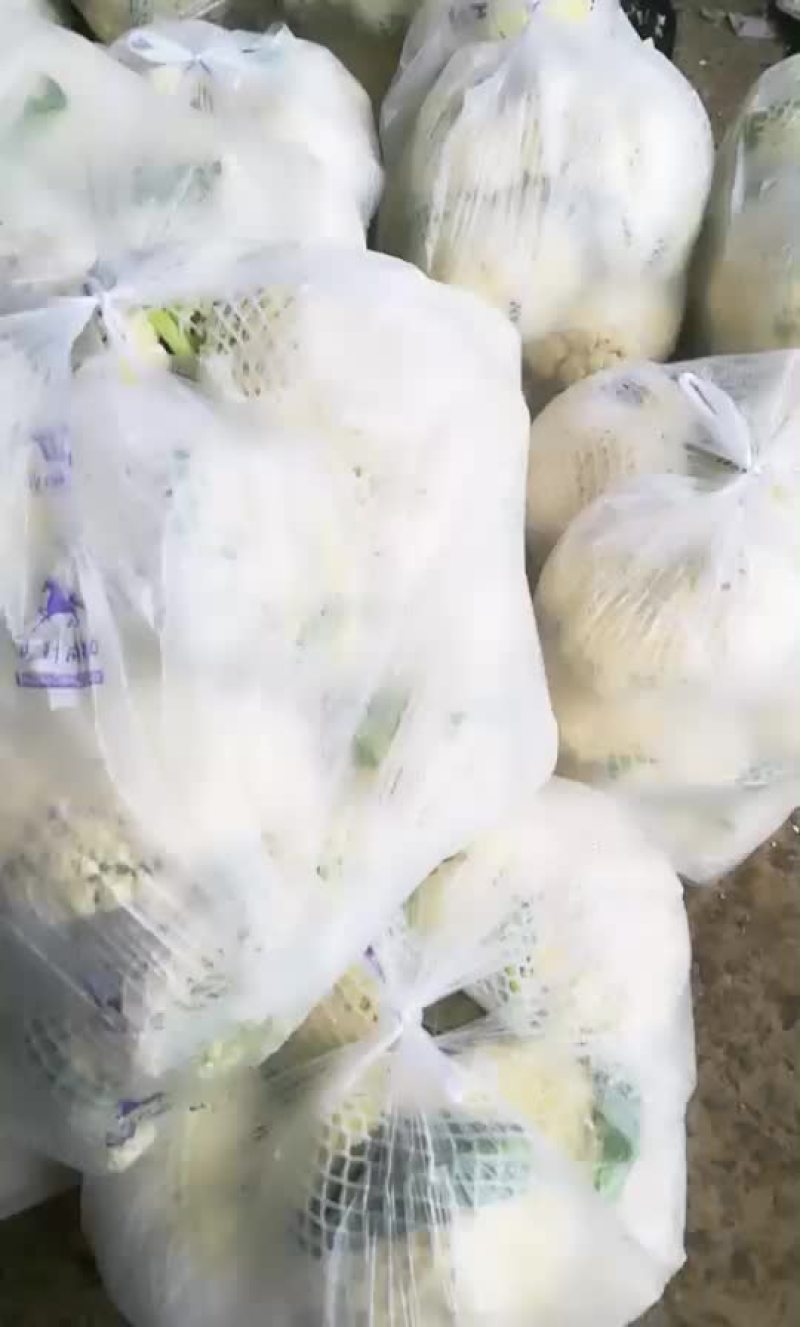 花菜