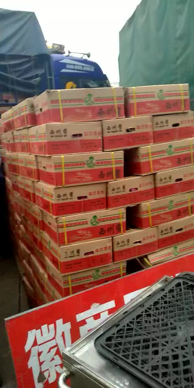 特价哈密瓜