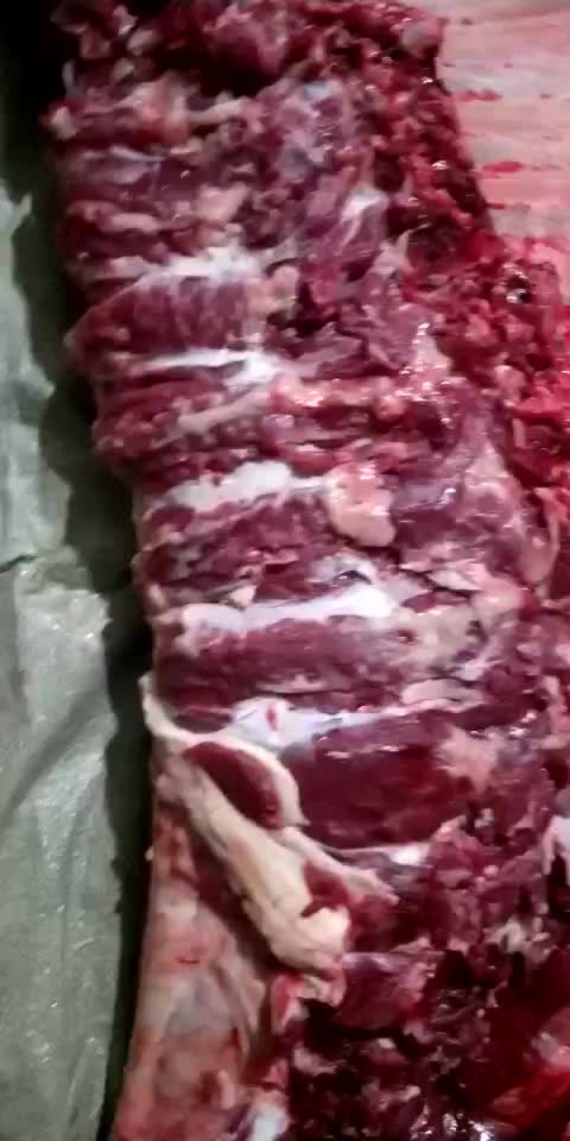 驴肉