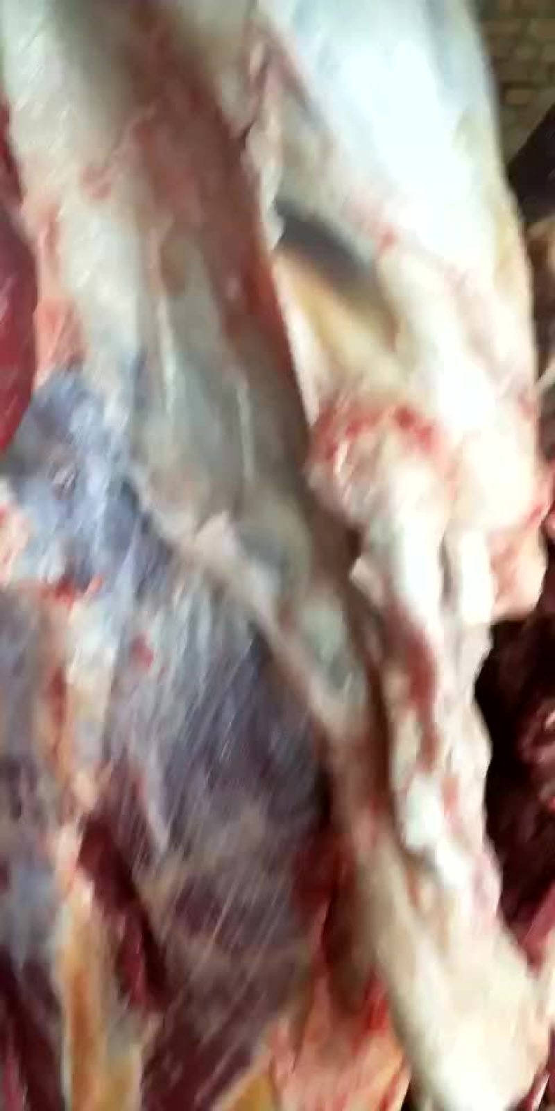 驴肉