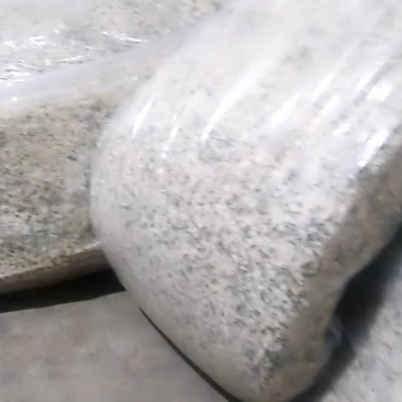 起白菊花