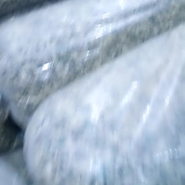 祁白菊花