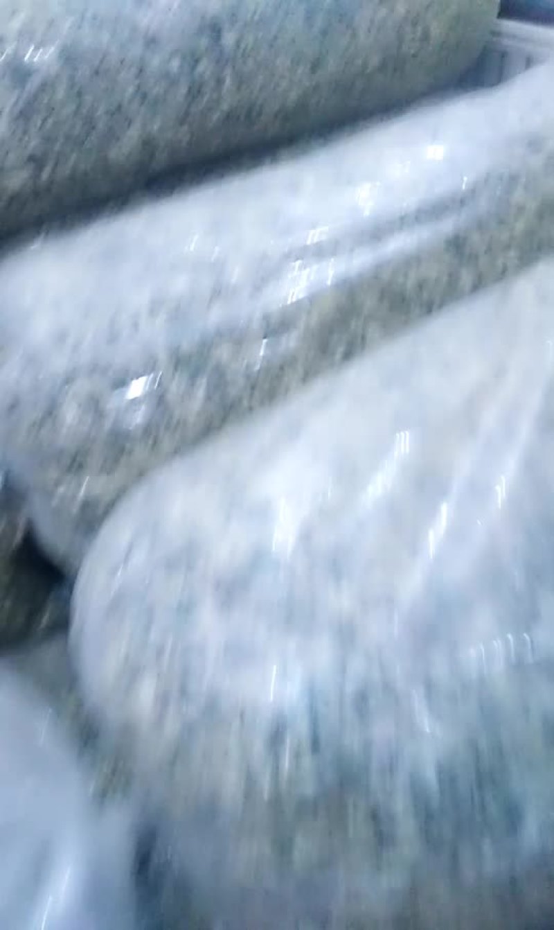 祁白菊花