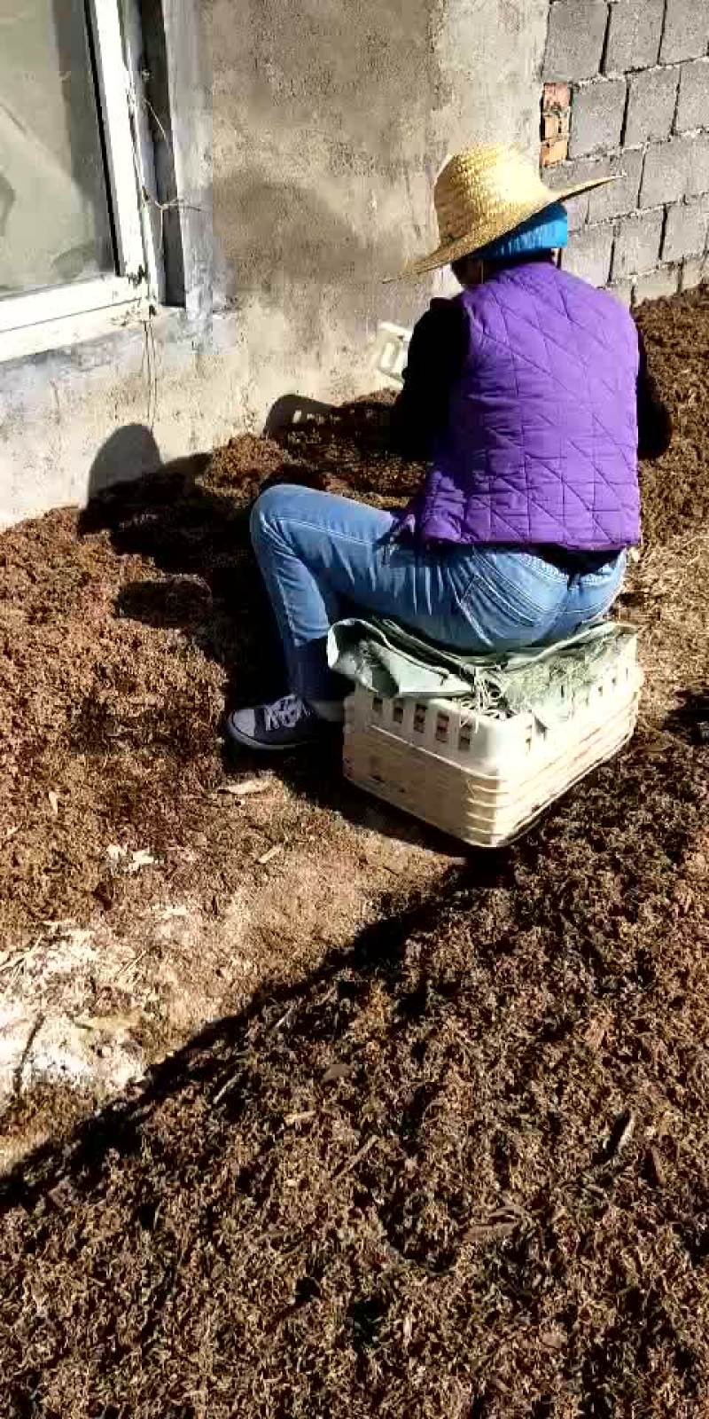 食用菌菌棒定制各种食用菌岀菇菌包，技术免费跟踪指导
