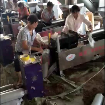 制袋装棒
