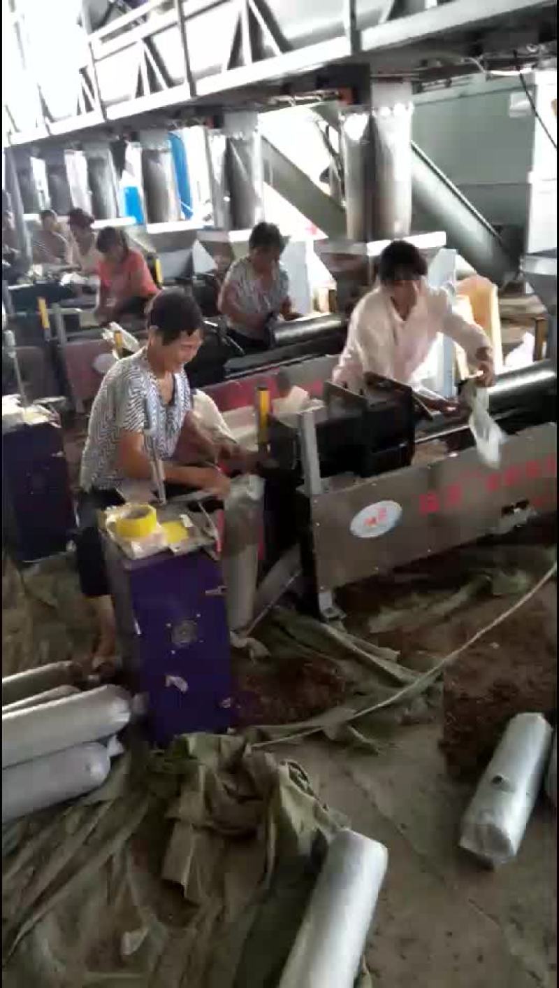 制袋装棒