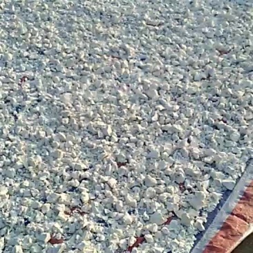 红薯粉面