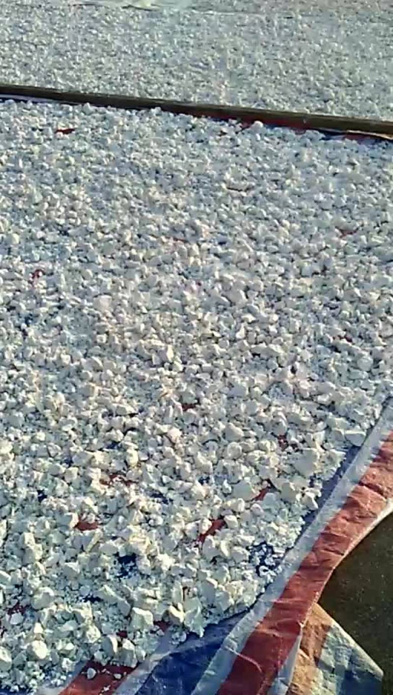 红薯粉面