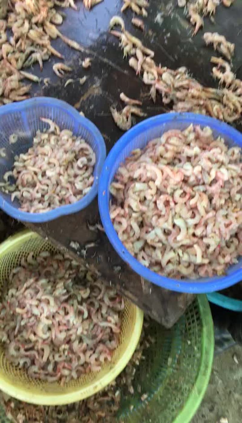麻虾仁
