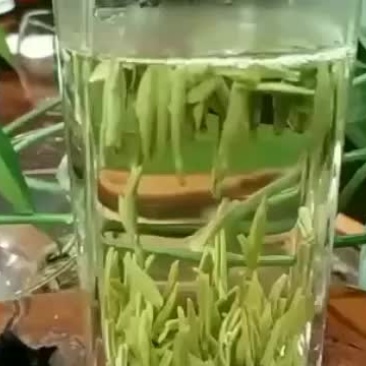 汉中仙毫