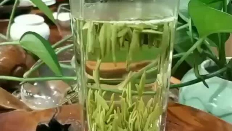 汉中仙毫
