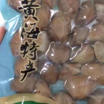 真空黄蚬子一袋一斤大量有货一箱20袋