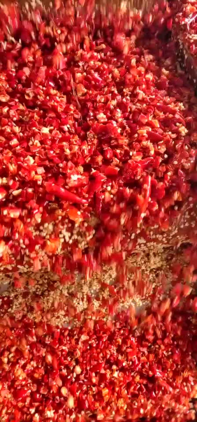 精品剁椒，腌制辣椒，辣椒酱，欢迎各位老板订购，