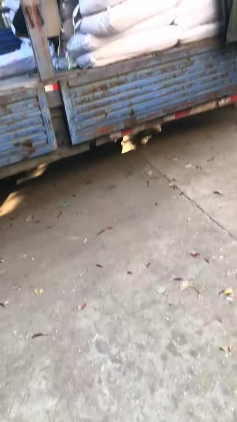 辣椒