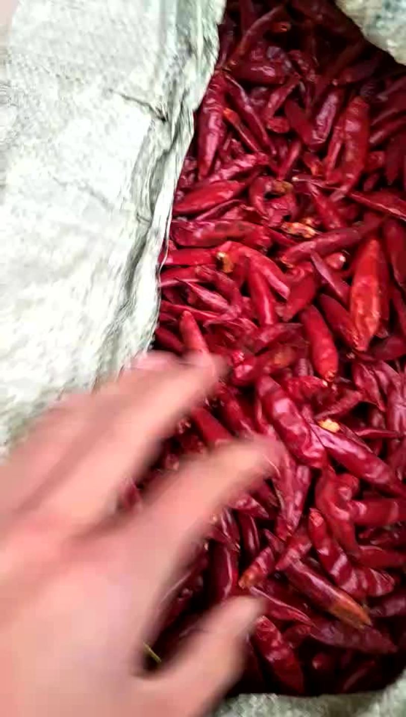 辣椒
