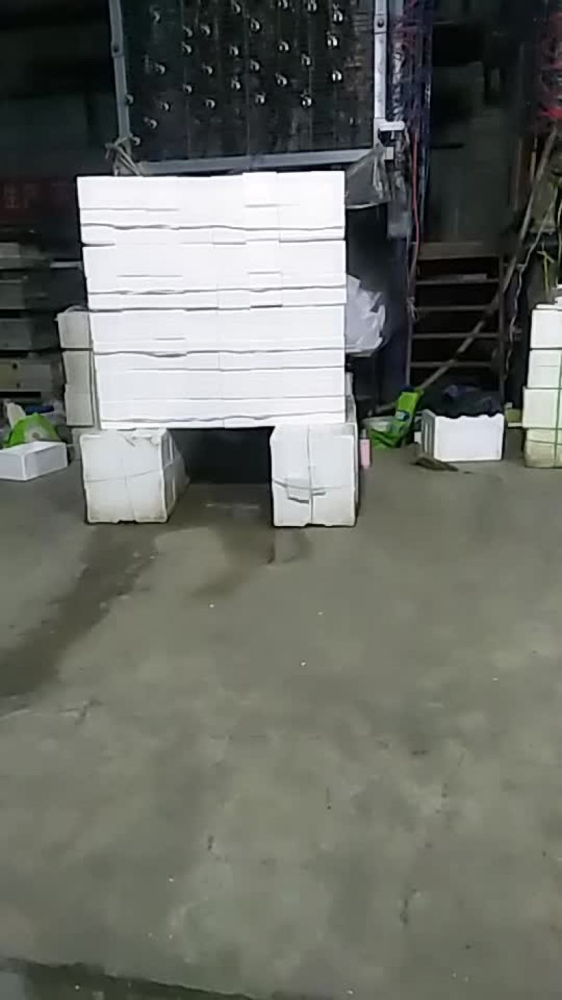 泡沫箱