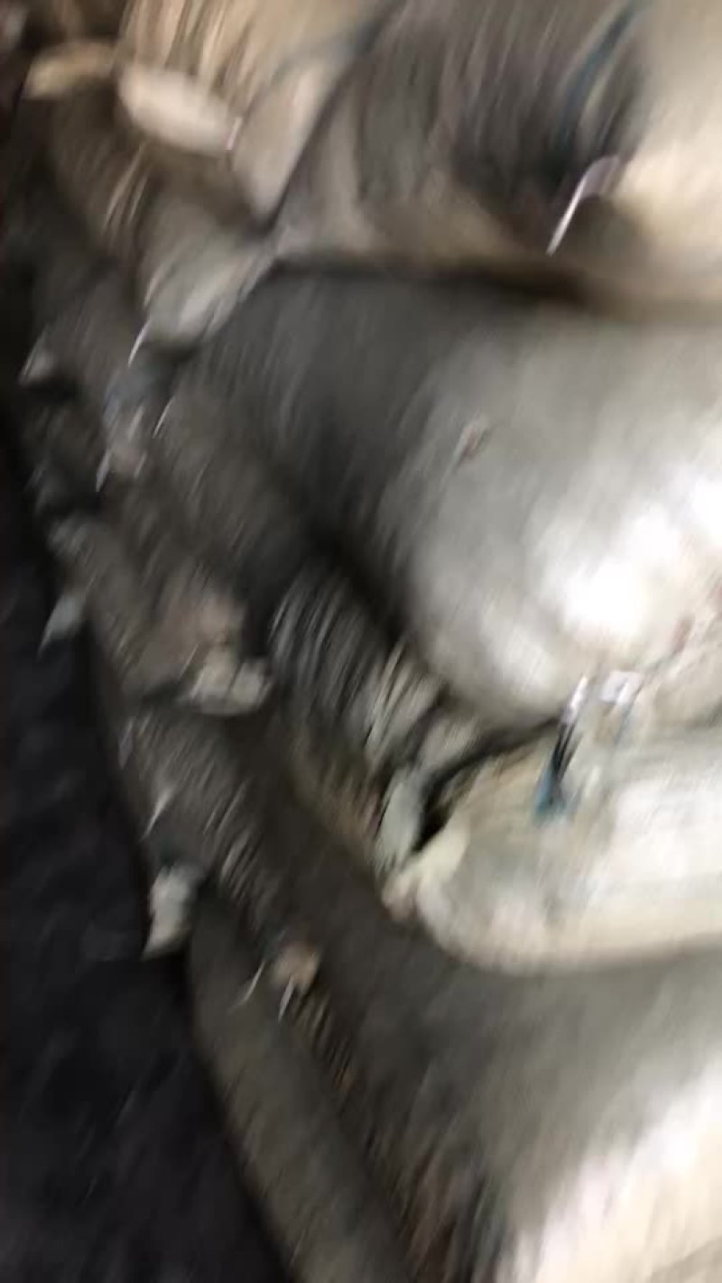 辣椒