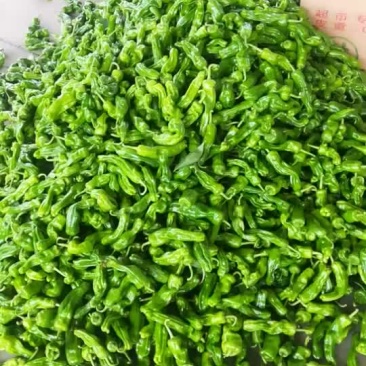 鲜辣椒