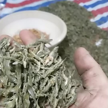 水煮小黄鱼
