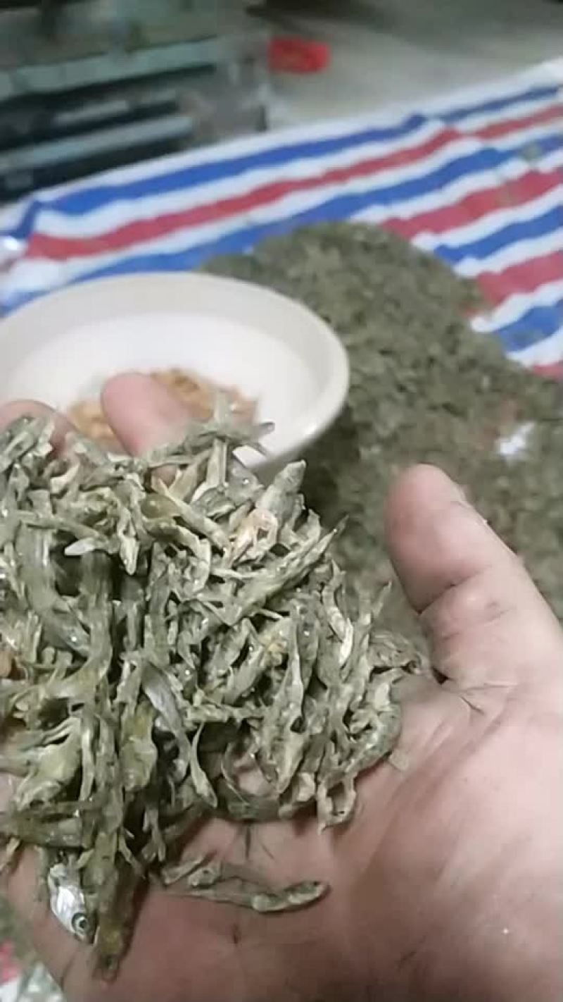 水煮小黄鱼