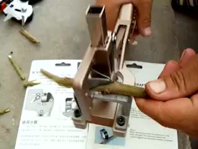 刘一手剪刀