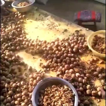 核桃油