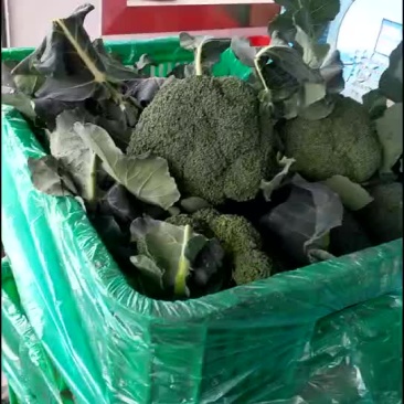 西兰花