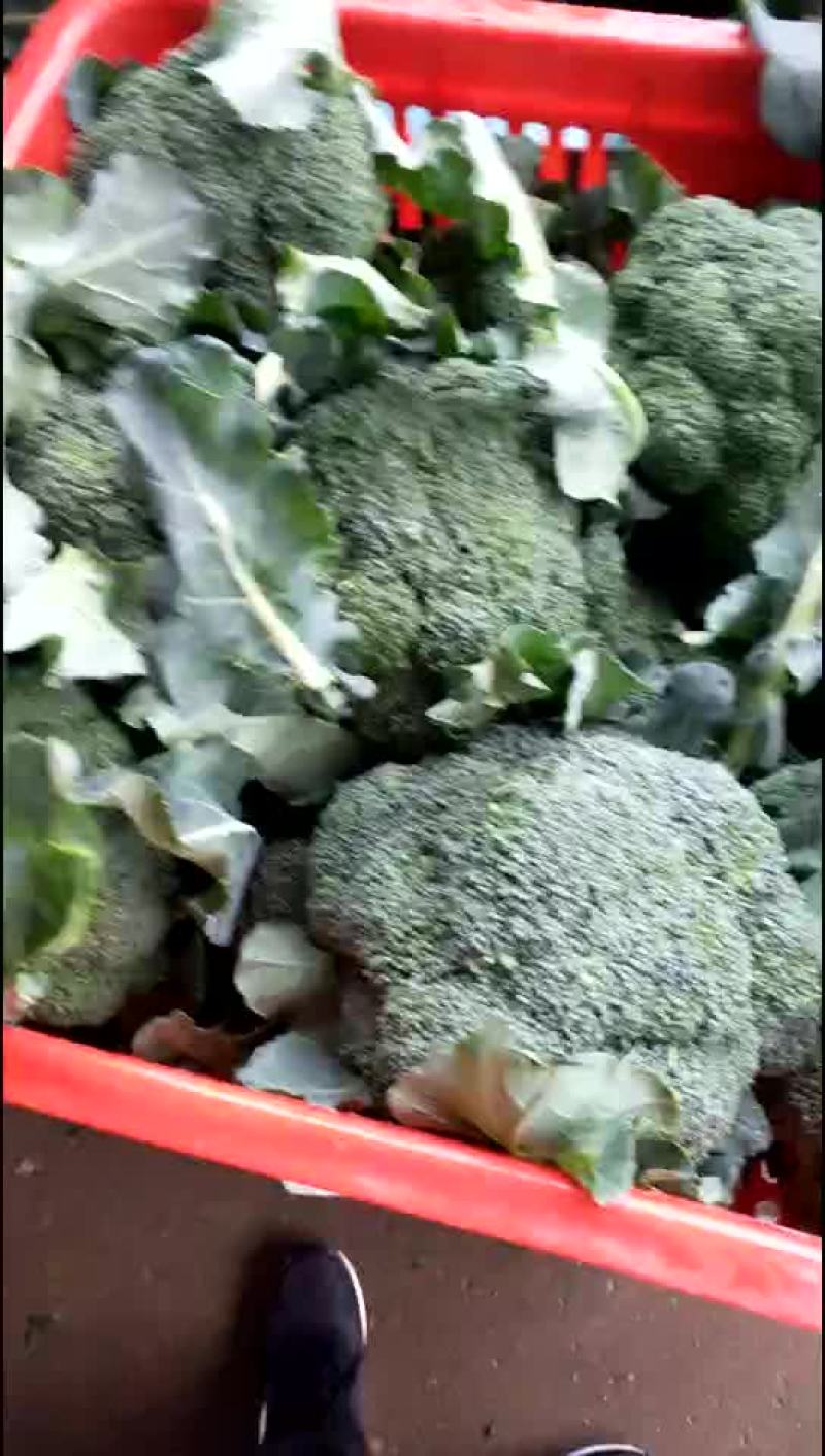西兰花