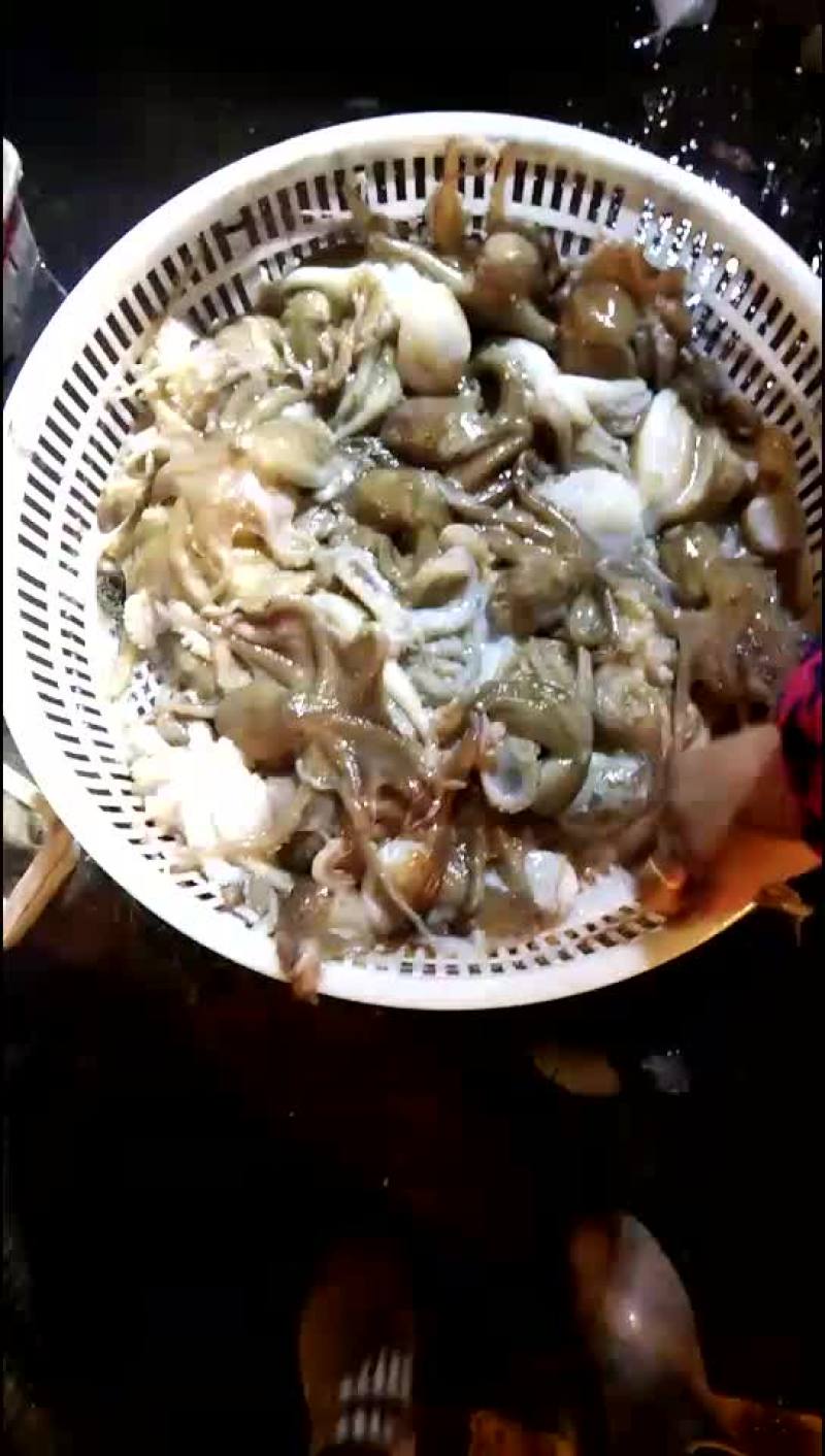 短腿八爪鱼鲜活