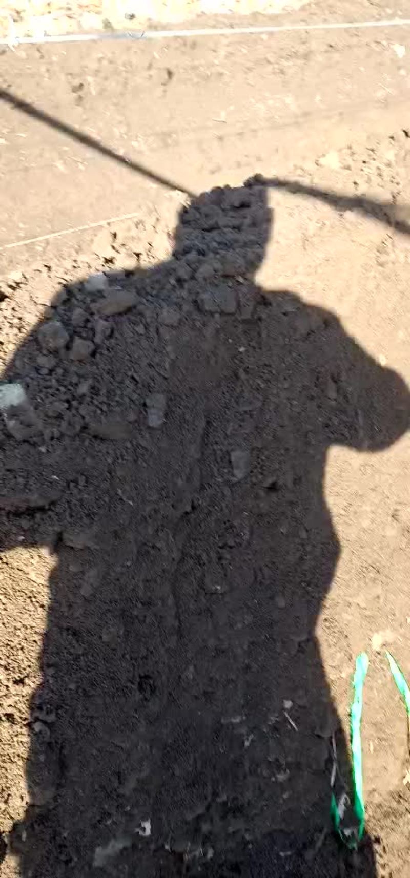 科瑞森，飓风都可以用