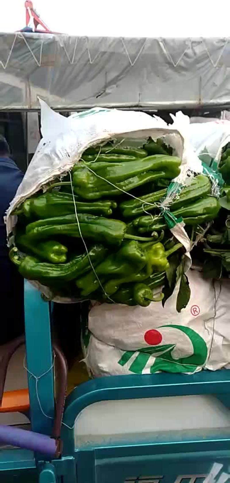 薄皮辣椒物流很快质量很好