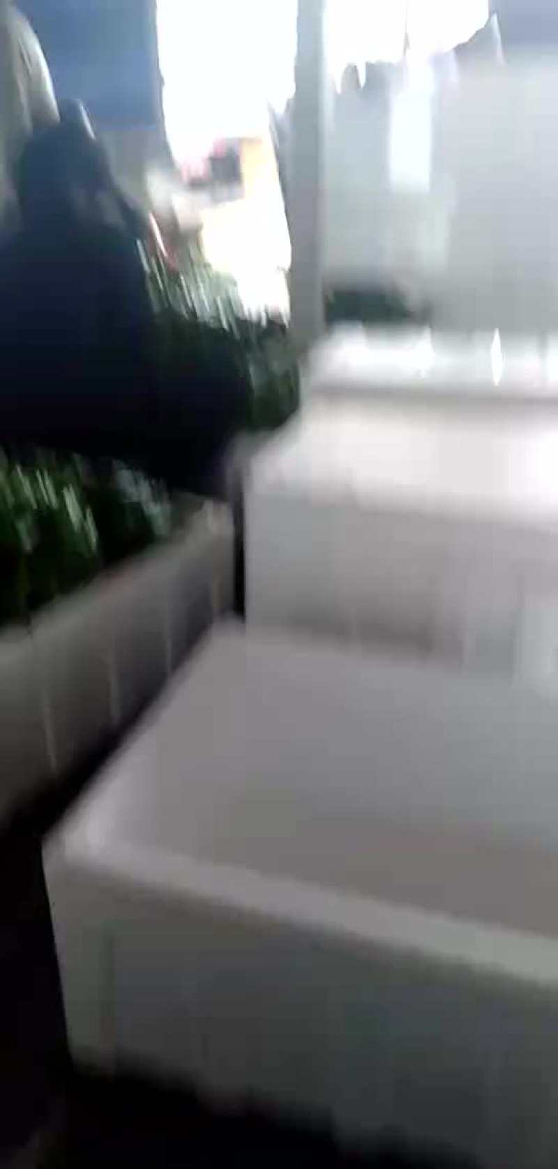 薄皮辣椒物流很快质量很好