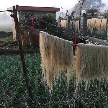 正宗的红薯粉条