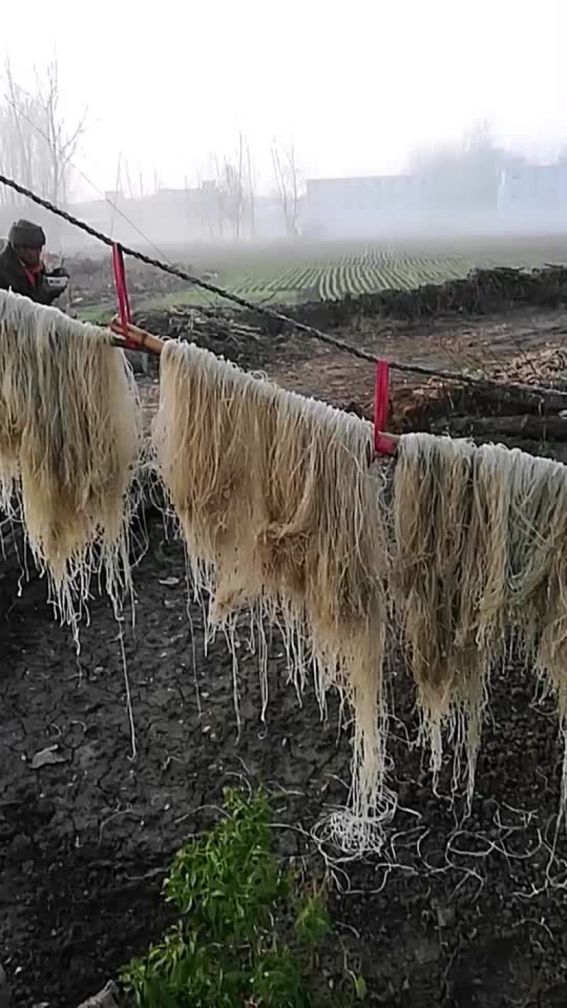 正宗的红薯粉条