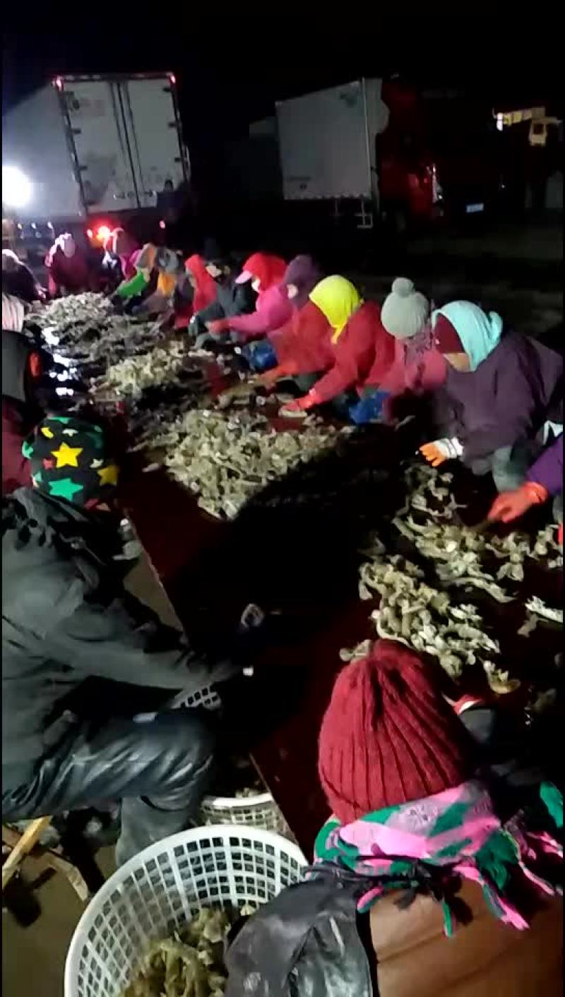弄了一宿，累死了，皮皮虾疯狂涨价，飙升价格过高了！！