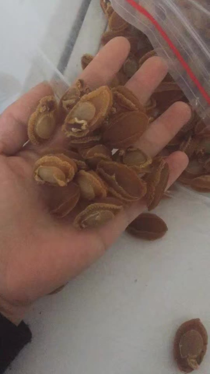 鲍鱼干