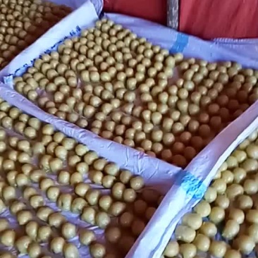 东北粘豆包