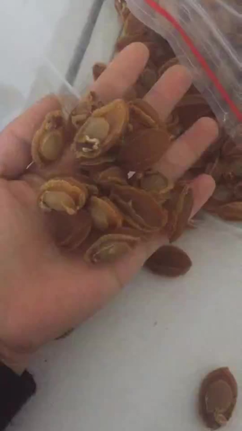 小鲍鱼干