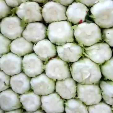 大量上市预售价格便宜