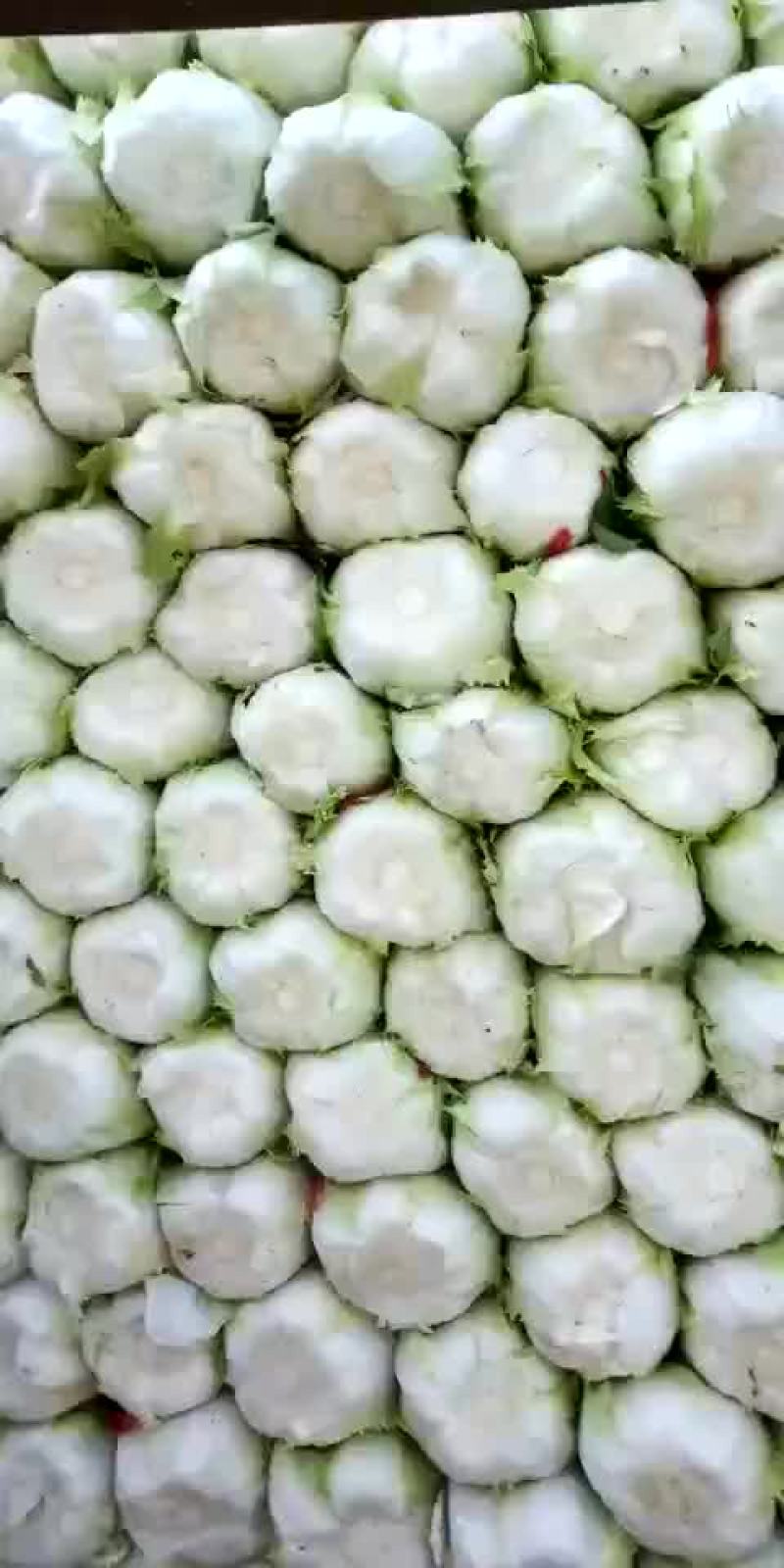 大量上市预售价格便宜