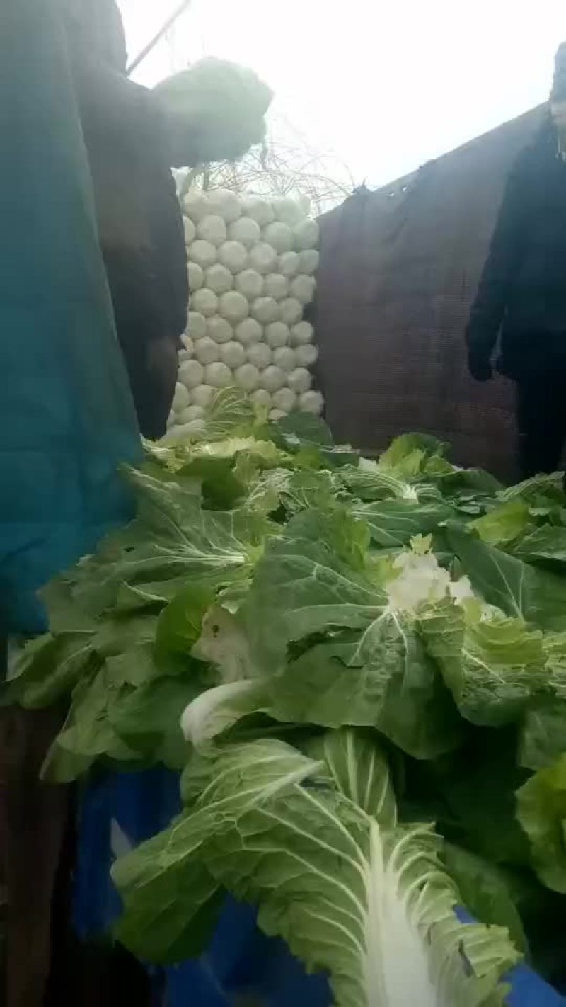大量上市预售价格便宜