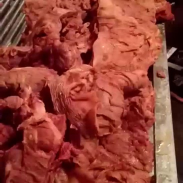 康壮壮驴肉