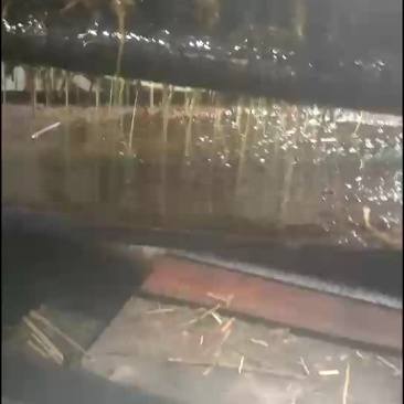 土榨山茶油